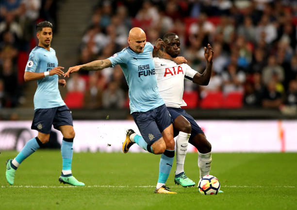 也能欣赏到 也能欣赏到