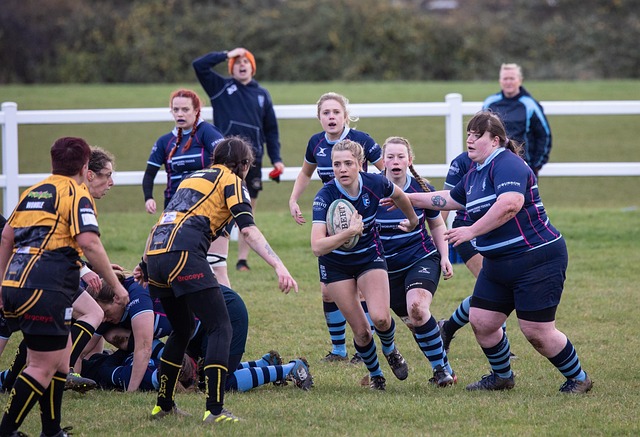 这一巨额合 这一巨额合